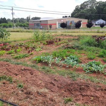 CommunityGarden and Food Forest
