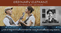 LIVE STREAM AT 7:30P CT - ORDINARY ELEPHANT / BLUE ROCK ALIVE! (with special guest Wes Collins)