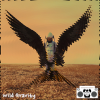 Wild Gravity by Kid Hyena