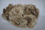 Lamb Fleece