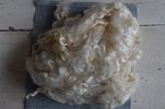 Washed Adult Fleece (Curls)