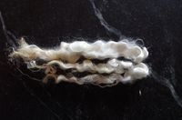 Adult (white) Fleece 