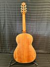 Nylon String Classical Crossover Guitar