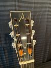 Classical Steel String Guitar 