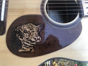 Hereford face woodburned and inlaid into wood pickguard
