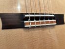 Nylon String Classical Crossover Guitar w/Cutaway