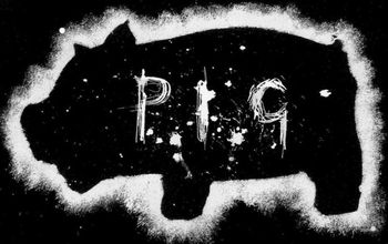 P.I.G logo
