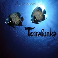 Aquanova (2021 Remaster) - MP3 version - £10 (or more if you're a superfan!) by Terrafunka