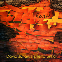 Reveal (WAV format - 667MB) by Terrafunka & David Juriansz