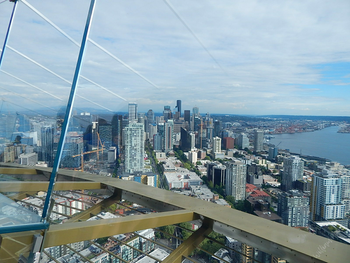Space Needle view
