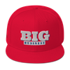 Big Business Snap back