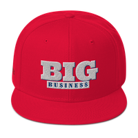 Big Business Snap back