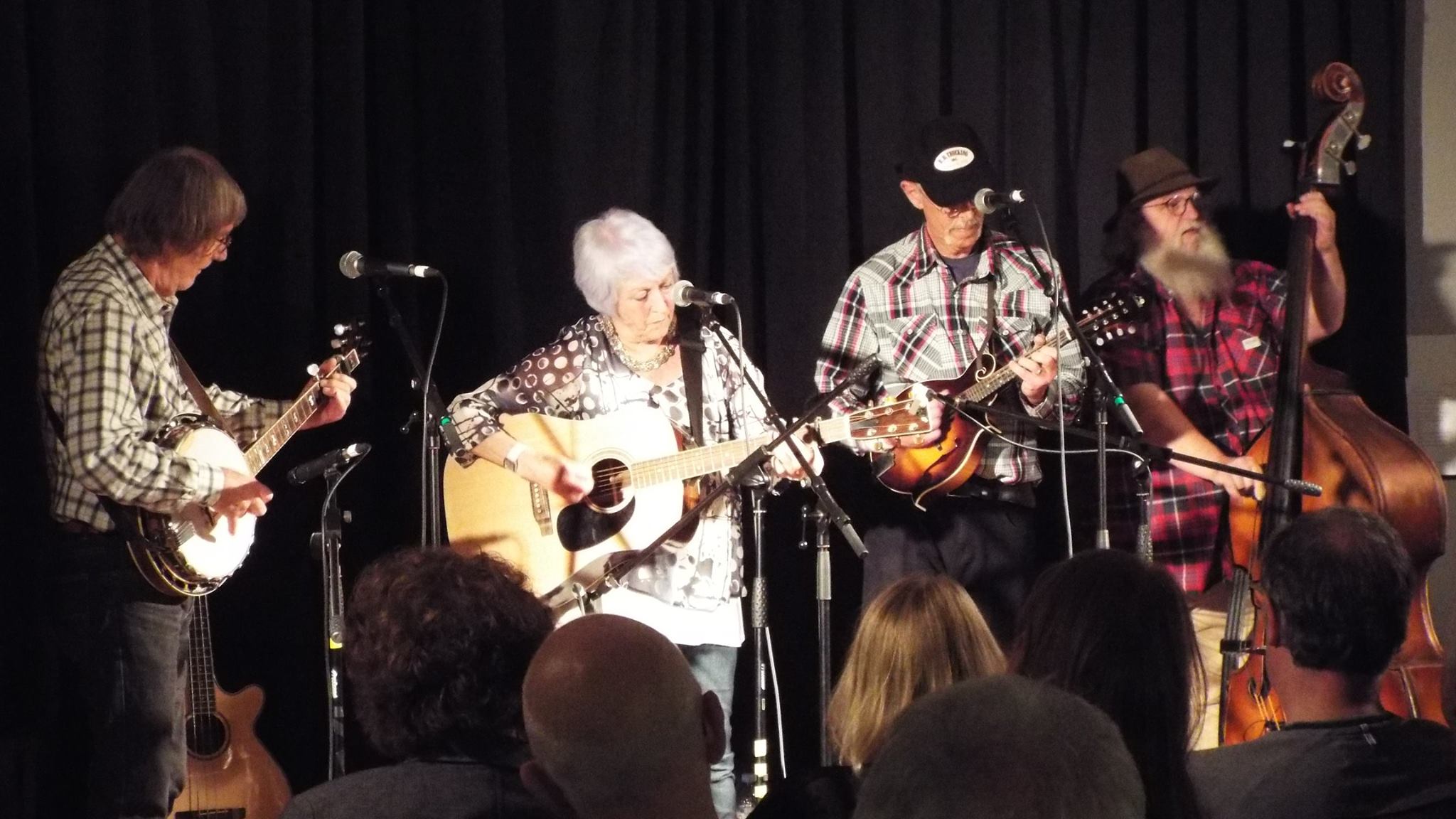 Stained Glass Bluegrass