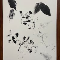 Into The Woods 2 (11x14") Lithograph