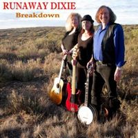Breakdown by Runaway Dixie