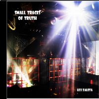 SMALL TRACES OF TRUTH by Lex Zaleta