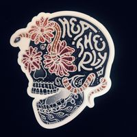 Skull Magnet