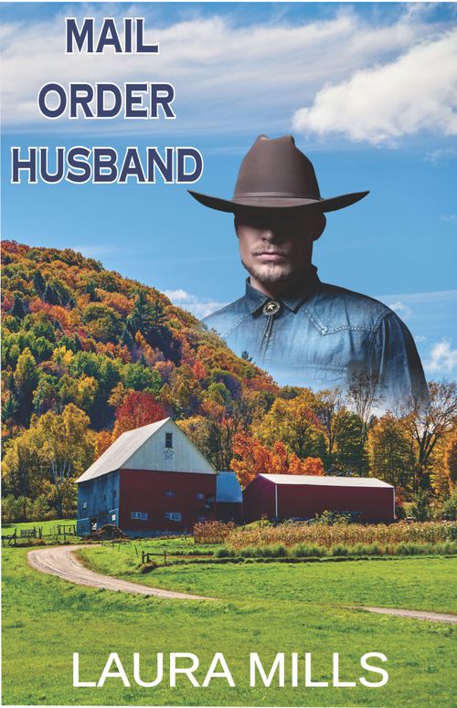 Mail Order Husband by Laura Mills