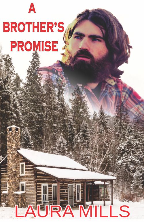 A Brother's Promise by Laura Mills