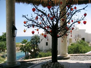 I found myself having a hard time when we'd returned home after the trip. Finally, Mark asked, "What the matter....why are you crying?" There was no other reason. It was: "Because I MISS LAS VENTANAS...!"
