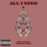 All I Need by Timi Turnup