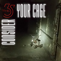 Consider Your Cage [2019 remix] by The 35