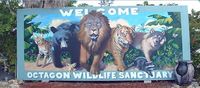 Octagon wild life fundraise