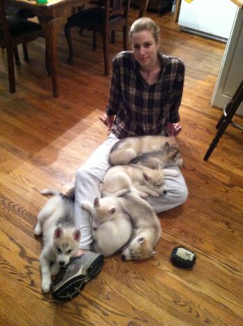 Alex and all 6 pups
