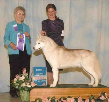 Lightning finishes his championship at the Chesapeake Siberian Husky Club Specialty under breeder judge, Phyllis Brayton. He is handle by his co-owner, Johanna Coutu. March 2008
