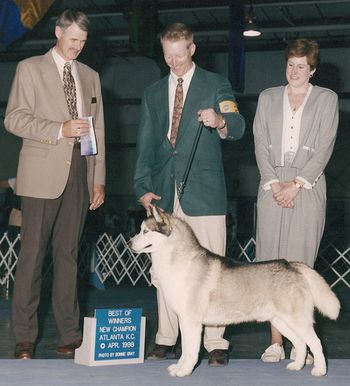 Ichi takes BOW for a 5 point major to finish his championship 4/98
