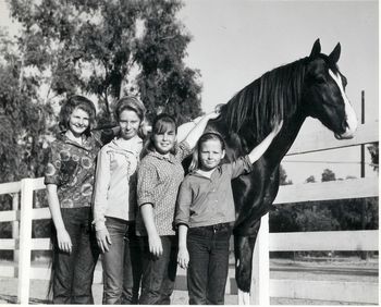 A motely group of horse girls at the end of a hot day helping with a photo shoot. Our reward, a picture! Ugh. L to R: Sheri Fisher Strand (long time friend), Candy, our cousin, Jody, Peggy, and the Saddlebred gelding, Star Raker. Ralph bought him for the National Velvet TV series. But the part went to another horse trainer/wrangler and good friend, Kenny Lee. Emerson Hall photo.
