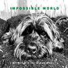 Impossible World: Impossible World