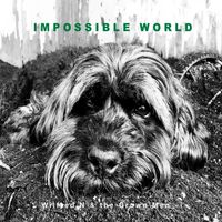 Impossible World by Wilfred N & the Grown Men