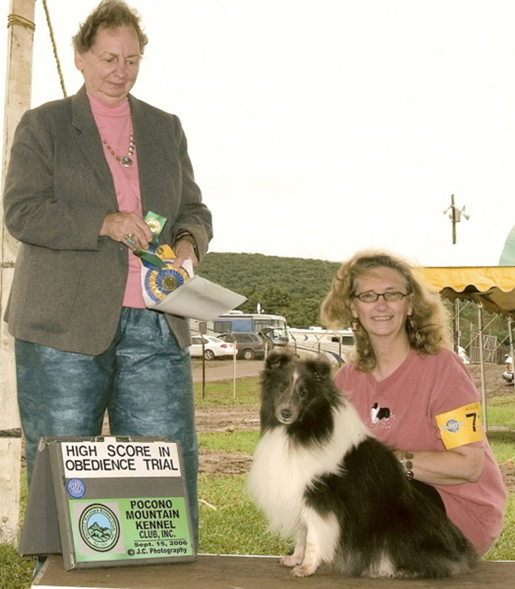 Kennel best sale club obedience