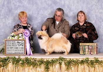 Best Puppy - TSCA National Specialty
