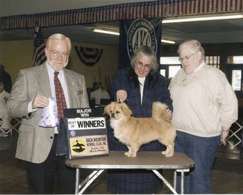 A four point major from the puppy class
