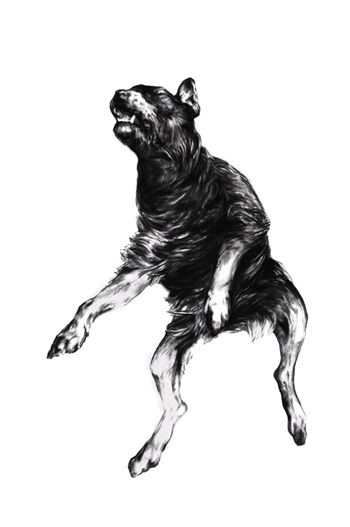 Animals in the City: Dog (Bruno in Ecstasy) - 62 x 48″ 2009
