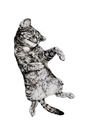 Animals in the City: Gatto Italiano #4 - 85 x 52″ 2012
