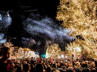 Fairhope's Annual Lighting of The Trees 