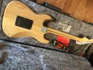 Fender American Professional Stratocaster Ash Natural + Hard Case