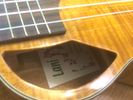 New/Old stock Lani LC-55/SM Concert Ukulele