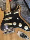 Fender American Professional Stratocaster Ash Natural + Hard Case