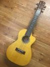 New/Old Stock - Lani LC-55MOCEQ Electro Concert Ukulele