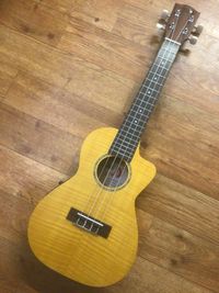 New/Old Stock - Lani LC-55MOCEQ Electro Concert Ukulele