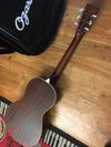 Stunning Ozark Parlour Resonator Guitar -  w/Bag