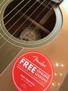 Fender Newporter Player Electro Acoustic, Olive Satin