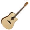 Tanglewood Discovery DBT DCE Electro Acoustic Guitar