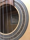 Hokada Silver Classical Guitar 4/4