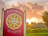 Bo Rains @ Bellview Winery (Full Band)