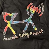 Acoustic Kitty Project 